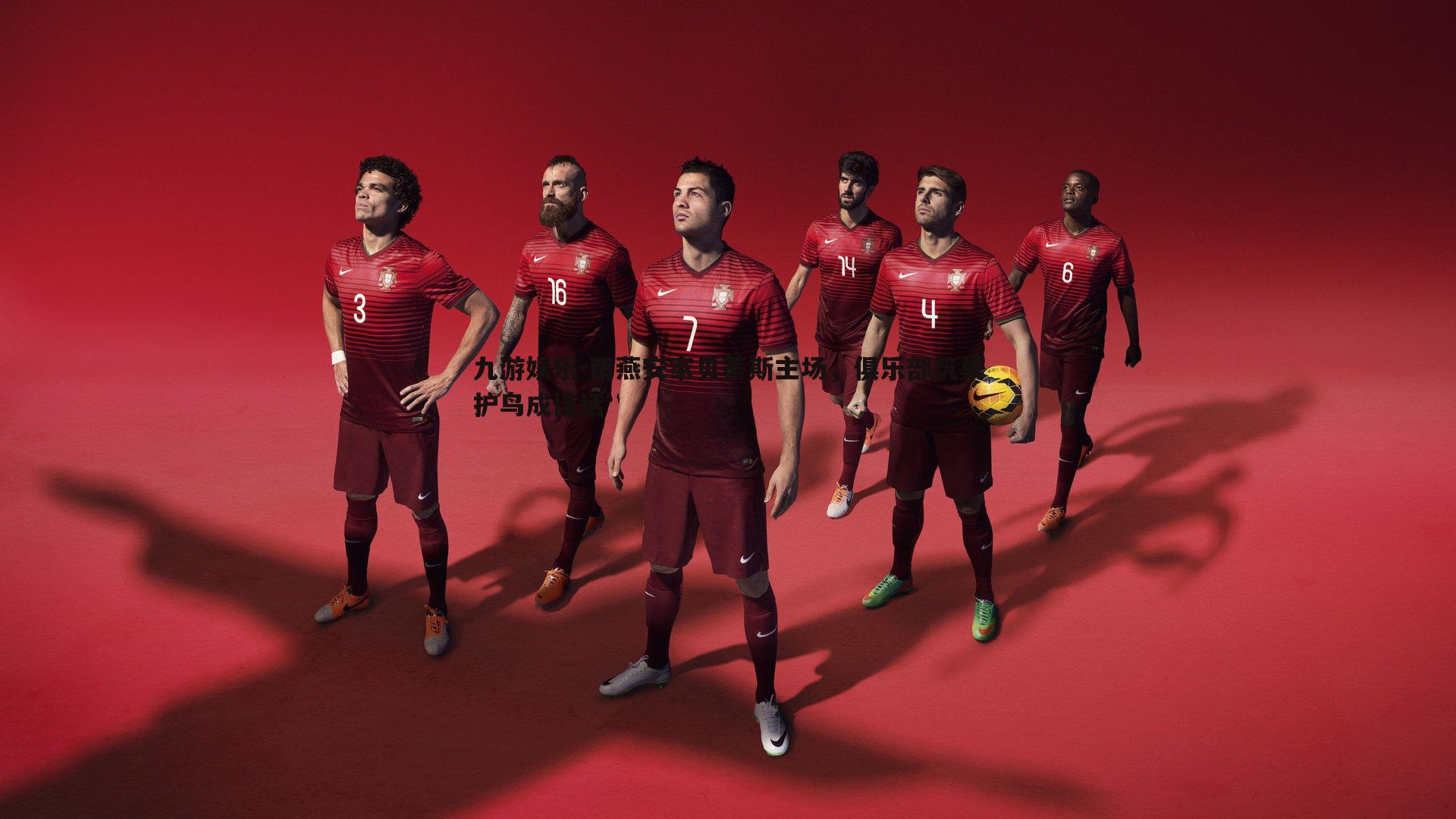 雨燕安家贝蒂斯主场,俱乐部筑巢护鸟成佳话