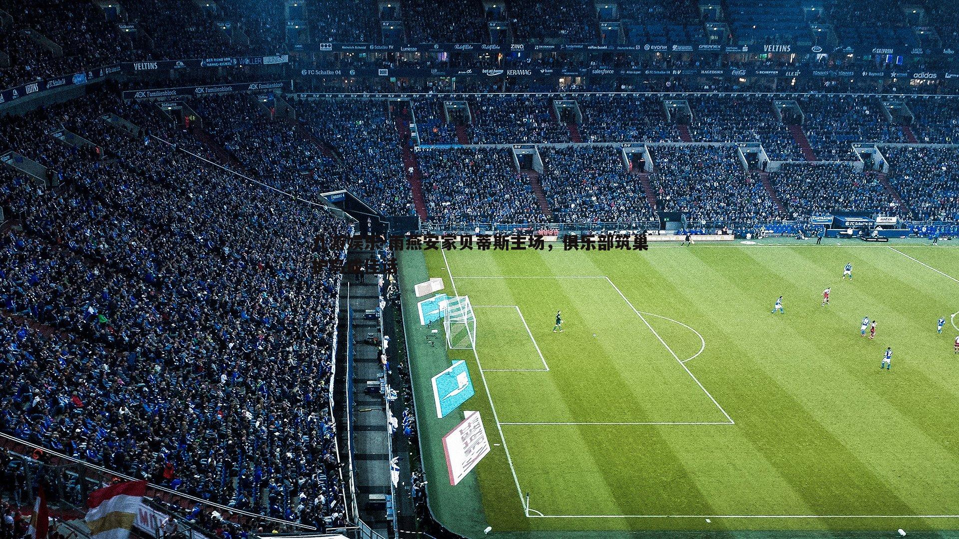 雨燕安家贝蒂斯主场,俱乐部筑巢护鸟成佳话